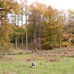 Holiday home Maple - Woodland Bowness-on-Windermere