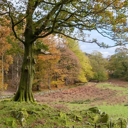 Maple - Woodland * Bowness-on-Windermere