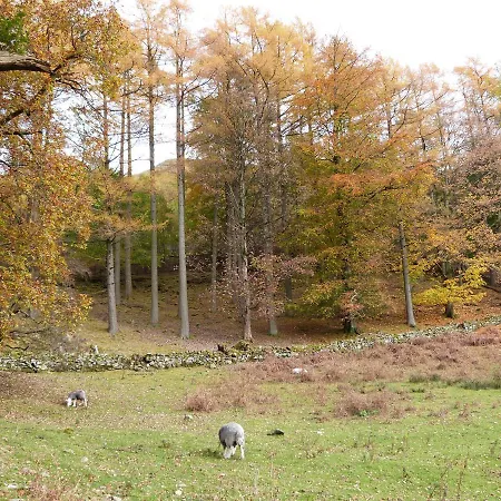 Vakantiehuis Maple - Woodland Bowness-on-Windermere
